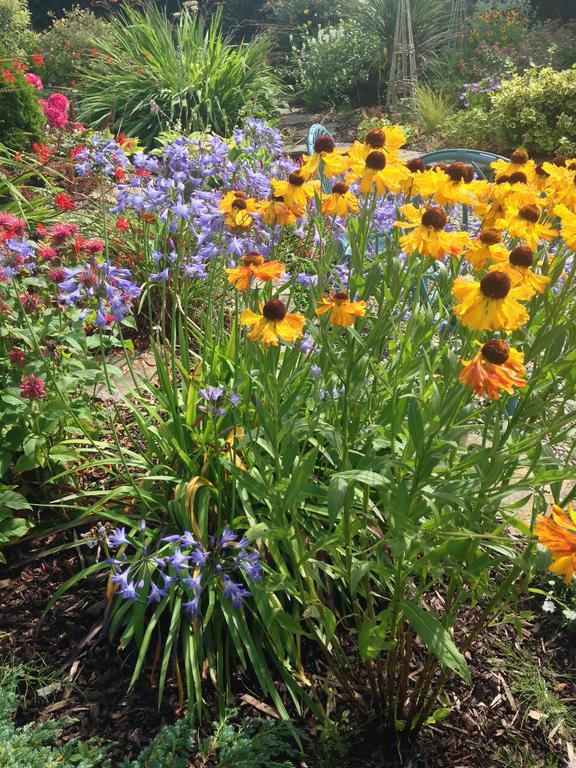 Apartments At Ballinsheen House & Gardens リスドゥーンバーナ エクステリア 写真