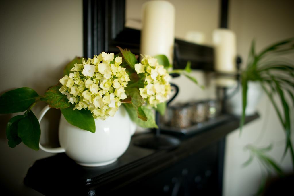 Apartments At Ballinsheen House & Gardens リスドゥーンバーナ エクステリア 写真